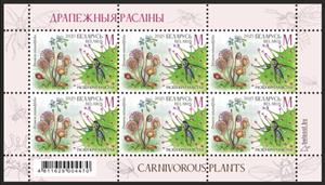 Full Pane, Round-leaved sundew, Belarus,  , Animals (Fauna), Plants (Flora)
