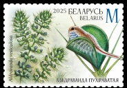 Stamp, Waterwheel plant, Belarus,  , Animals (Fauna), Plants (Flora)