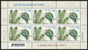 Full Pane, Waterwheel plant, Belarus,  , Animals (Fauna), Plants (Flora)