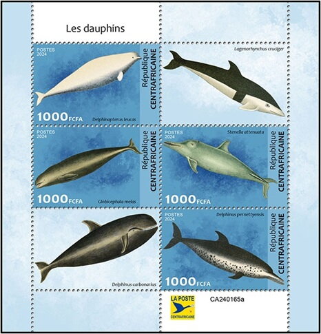 Dolphins