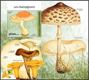 Souvenir Sheet, Hebeloma crustuliniforme, Central African Republic,  , Mushrooms, Plants (Flora)