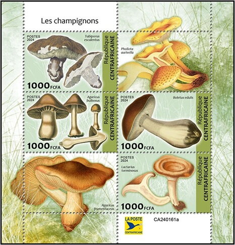 Mushrooms