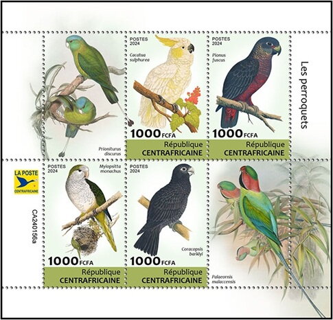 Parrots