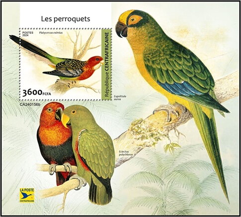 Platycercus eximius