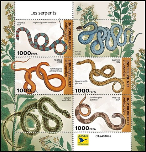 Snakes