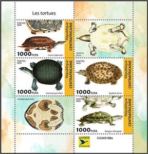 Mini Sheet, Turtles, Central African Republic,  , Reptiles, Turtles