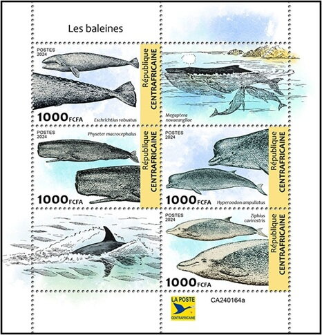 Whales
