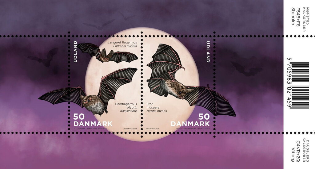 Bats of Denmark