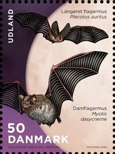 Stamp, Brown Long-Eared Bat (Plecotus auritius), Denmark,  , Bats