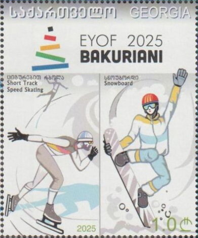 Short Track Speed Skating and Snowboard