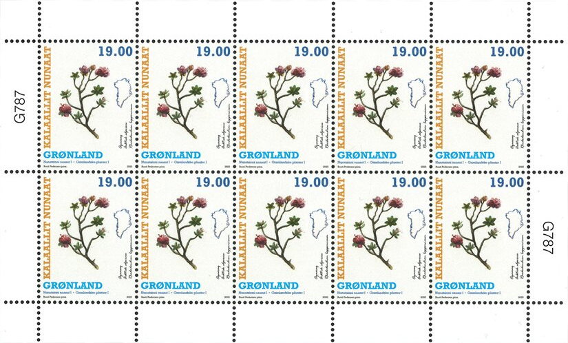 Flora of Greenland