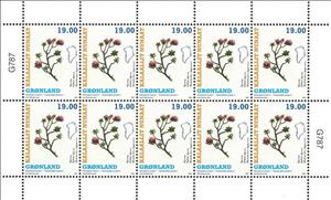 Full Pane, Flora of Greenland, Greenland,  , Plants (Flora)