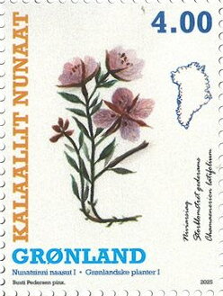 Flora of Greenland
