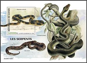 Souvenir Sheet, Elapsoidea sundevallii, Guinea,  , Reptiles, Snakes