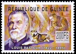 Stamp, Louis Pasteur (1822-1895), Guinea,  , Biologists, Chemists, Dogs, Famous People, Mathematicians, Medical Science, Physicists
