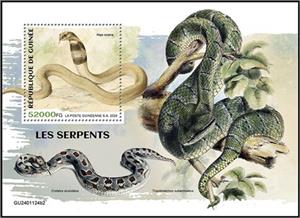Souvenir Sheet, Naja oxiana, Guinea,  , Reptiles, Snakes