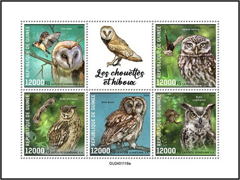 World of the Owls