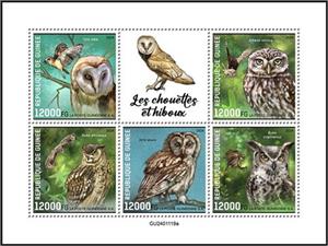 Mini Sheet, World of the Owls, Guinea,  , Birds, Parrots