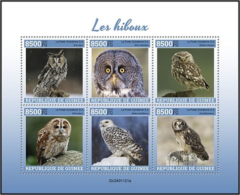 World of the Owls
