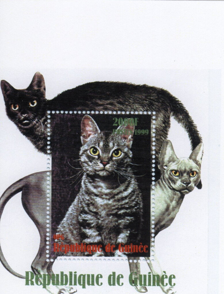 Cats