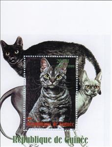 Souvenir Sheet, Cats, Guinea,  , Animals (Fauna), Cats, Mammals