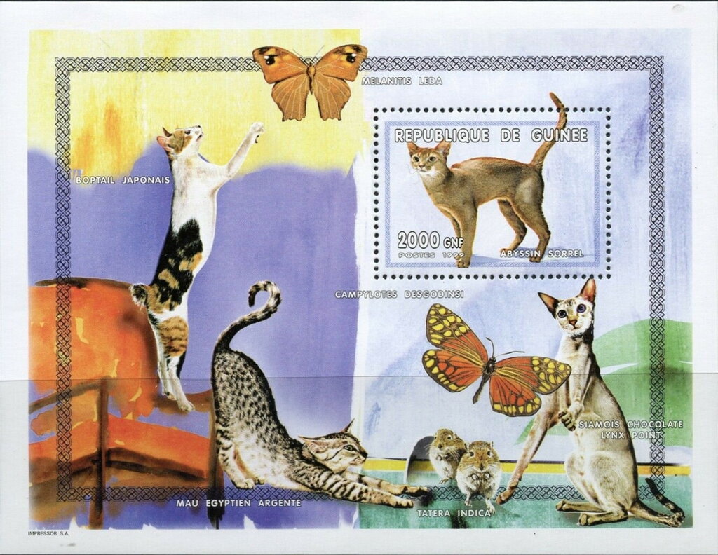 Cats