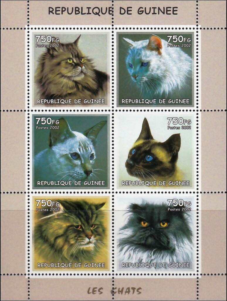 Cats
