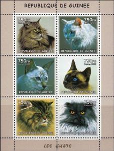 Mini Sheet, Cats, Guinea,  , Animals (Fauna), Cats, Mammals