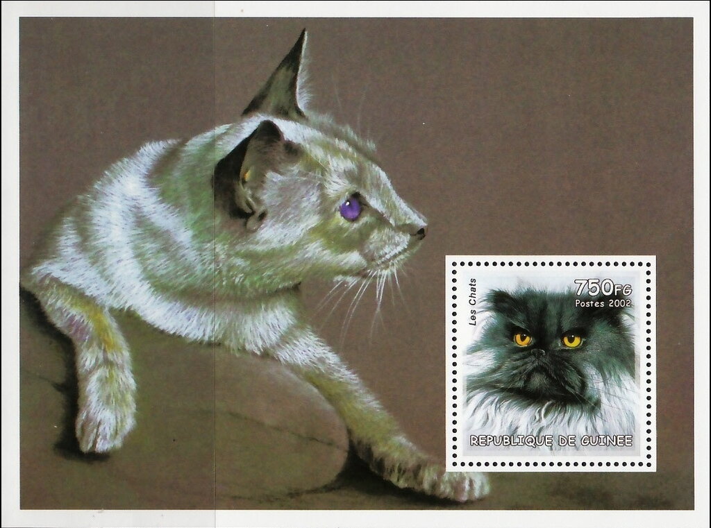 Cats