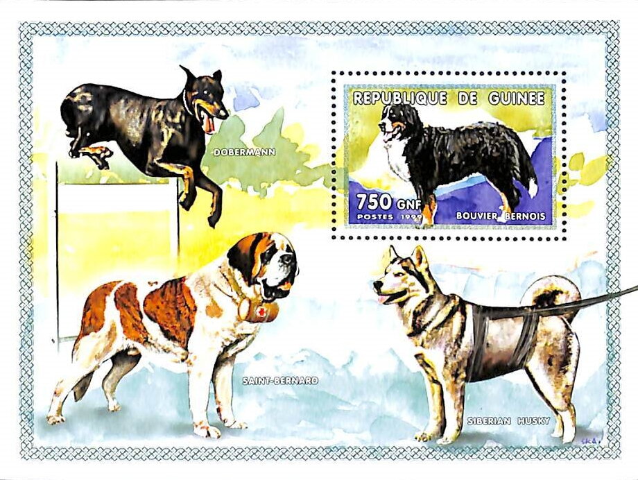 Dogs