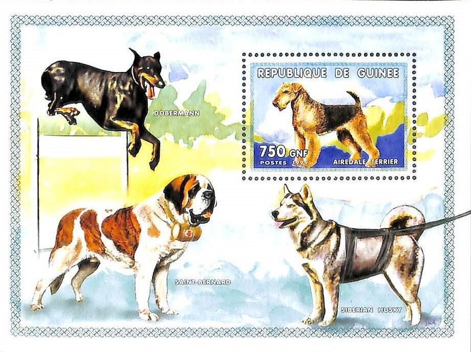 Dogs
