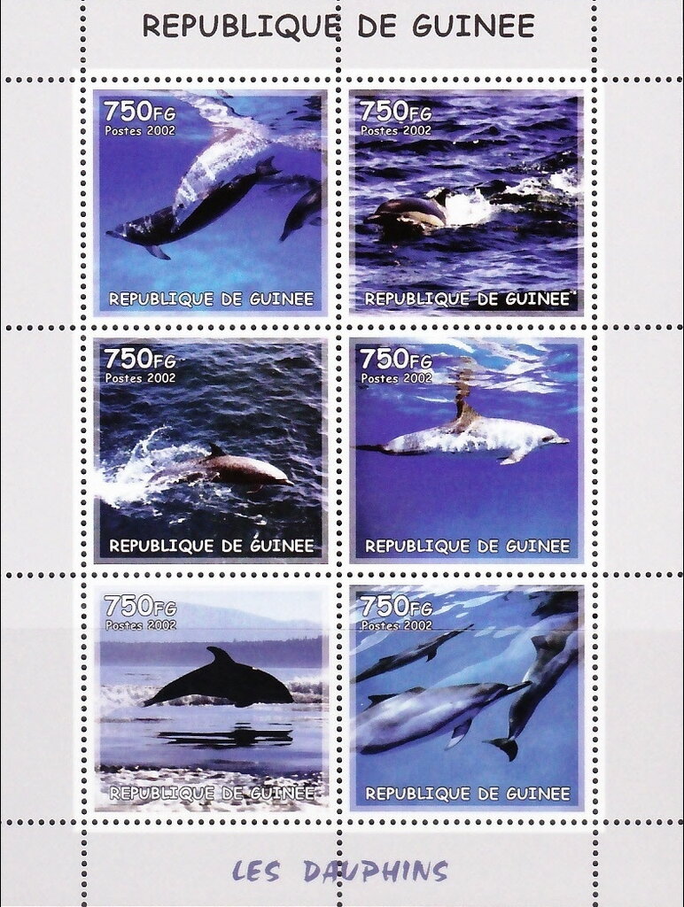 Dolphins