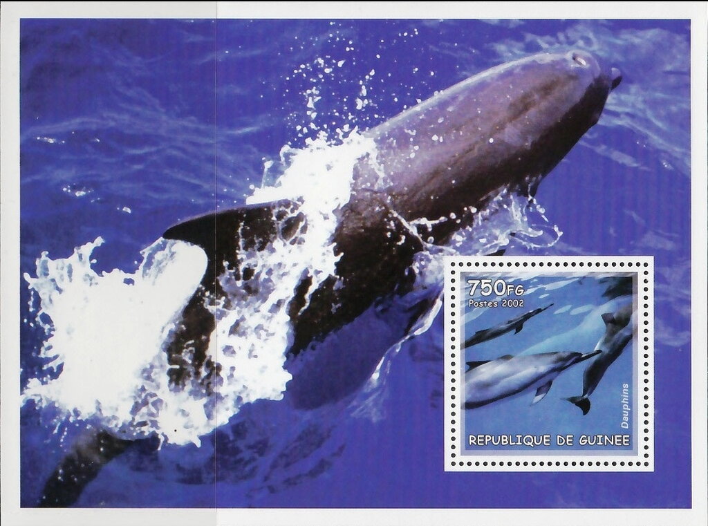 Dolphins