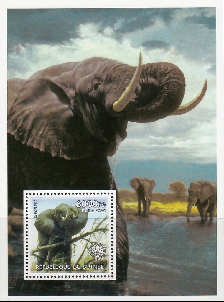 Elephants