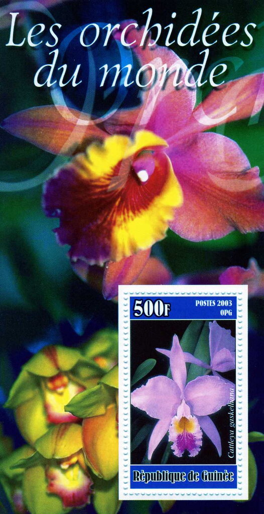 Orchids of the World