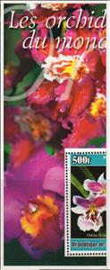 Souvenir Sheet, Orchids of the World, Guinea,  , Flowers, Orchids, Plants (Flora)