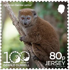 Stamp, Alaotran Gentle Lemur (Hapalemur alaotrensis), Jersey,  , Animals (Fauna), Mammals, Monkeys