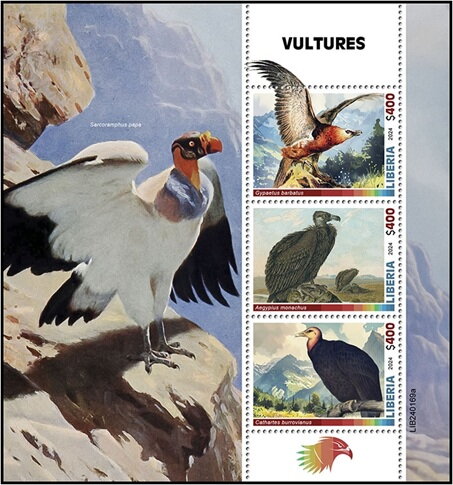 Birds of Prey