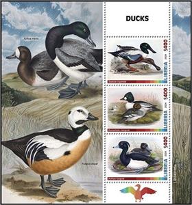 Mini Sheet, Ducks, Liberia,  , Birds, Ducks