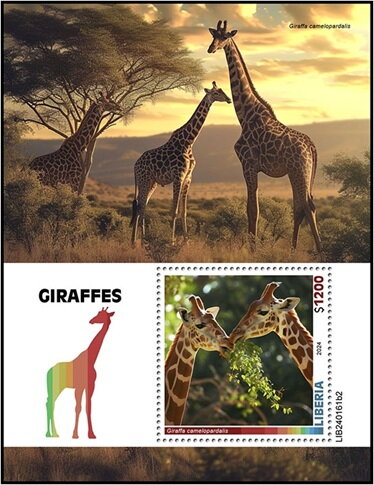 Giraffa camelopardalis
