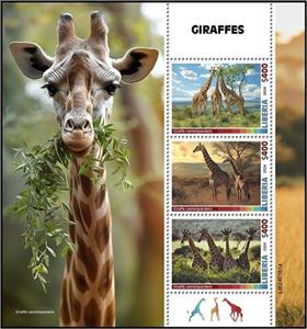 Mini Sheet, Giraffes, Liberia,  , Animals (Fauna), Giraffes