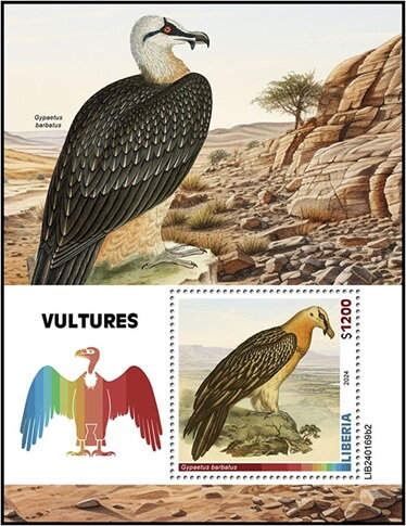 Gypaetus barbatus