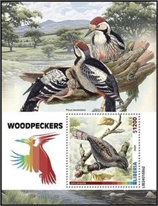 Souvenir Sheet, Jynx torquilla, Liberia,  , Birds, Woodpeckers