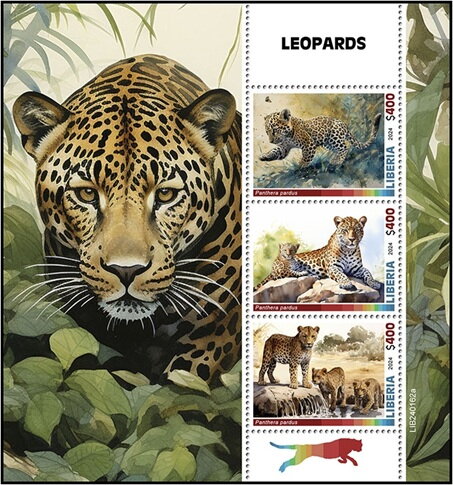 Leopards