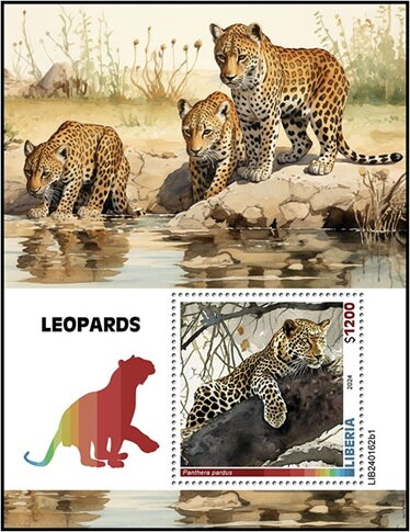 Panthera pardus