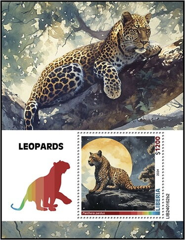Panthera pardus