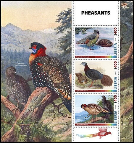 Pheasants