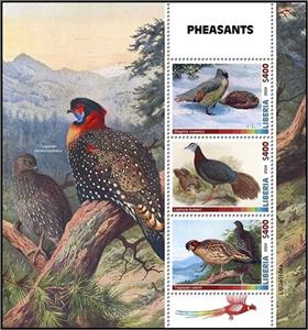 Mini Sheet, Pheasants, Liberia,  , Birds, Pheasants