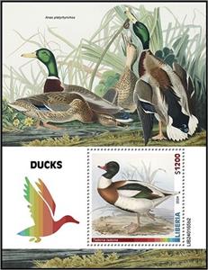 Souvenir Sheet, Tadorna tadorna, Liberia,  , Birds, Ducks