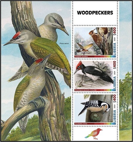 Woodpeckers